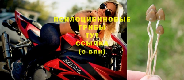 герыч Богданович