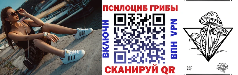 Галлюциногенные грибы Psilocybe  Бородино 